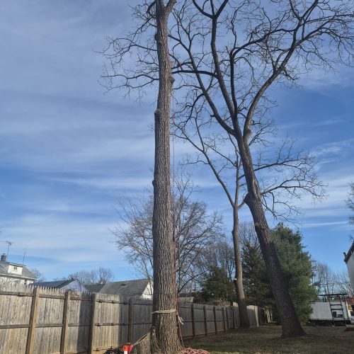 WhatsApp Image 2025-12-22 at 9.35.04 AM (1)