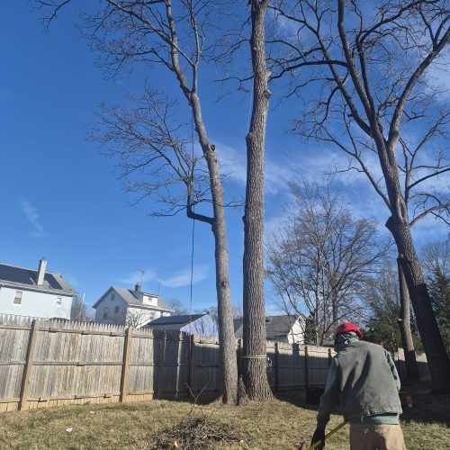 WhatsApp Image 2025-12-22 at 9.35.04 AM