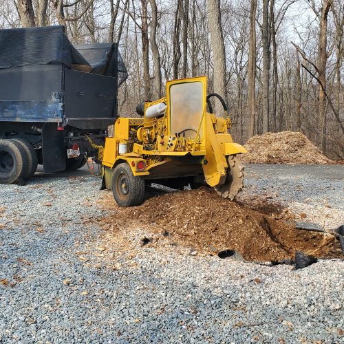 WhatsApp Image 2025-12-22 at 9.46.58 AM