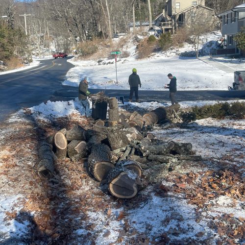 WhatsApp Image 2026-01-01 at 12.03.45 PM (1)